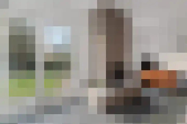 Sparrenhof 14 Malden thumbnail 5