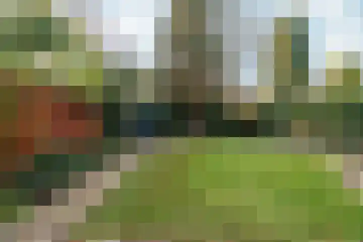 Sparrenhof 14 Malden thumbnail 62