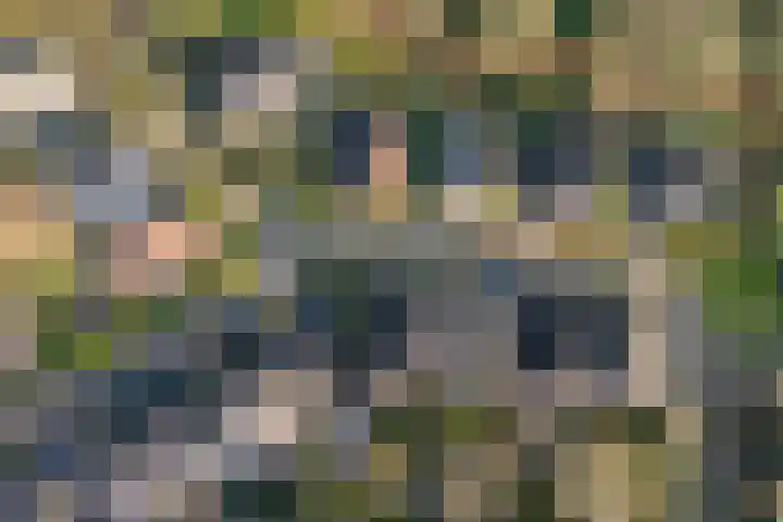 Sparrenhof 14 Malden thumbnail 69
