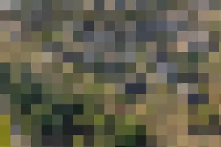 Sparrenhof 14 Malden thumbnail 70