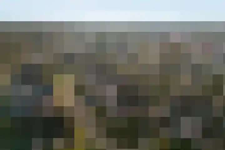 Sparrenhof 14 Malden thumbnail 71