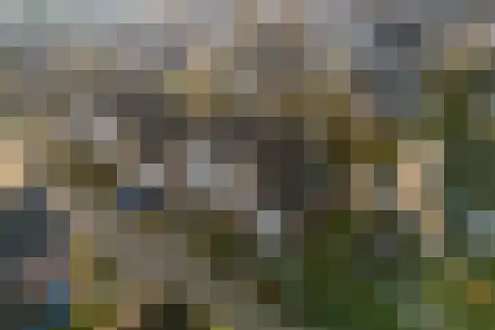 Sparrenhof 14 Malden thumbnail 72