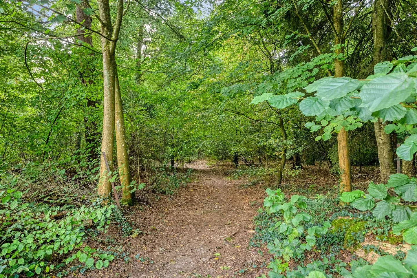 Sparrenhof 19 Dieren thumbnail 40