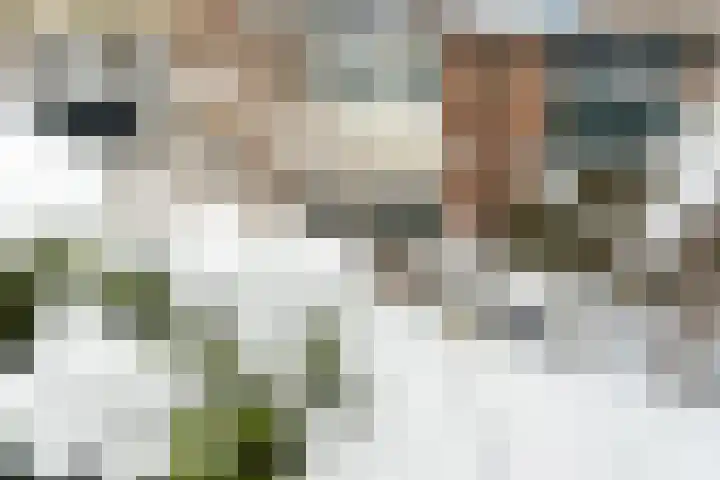 Sparrenhof 22 Dieren thumbnail 28