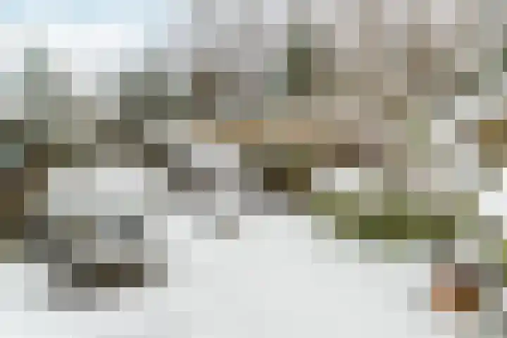 Sparrenhof 22 Dieren thumbnail 4