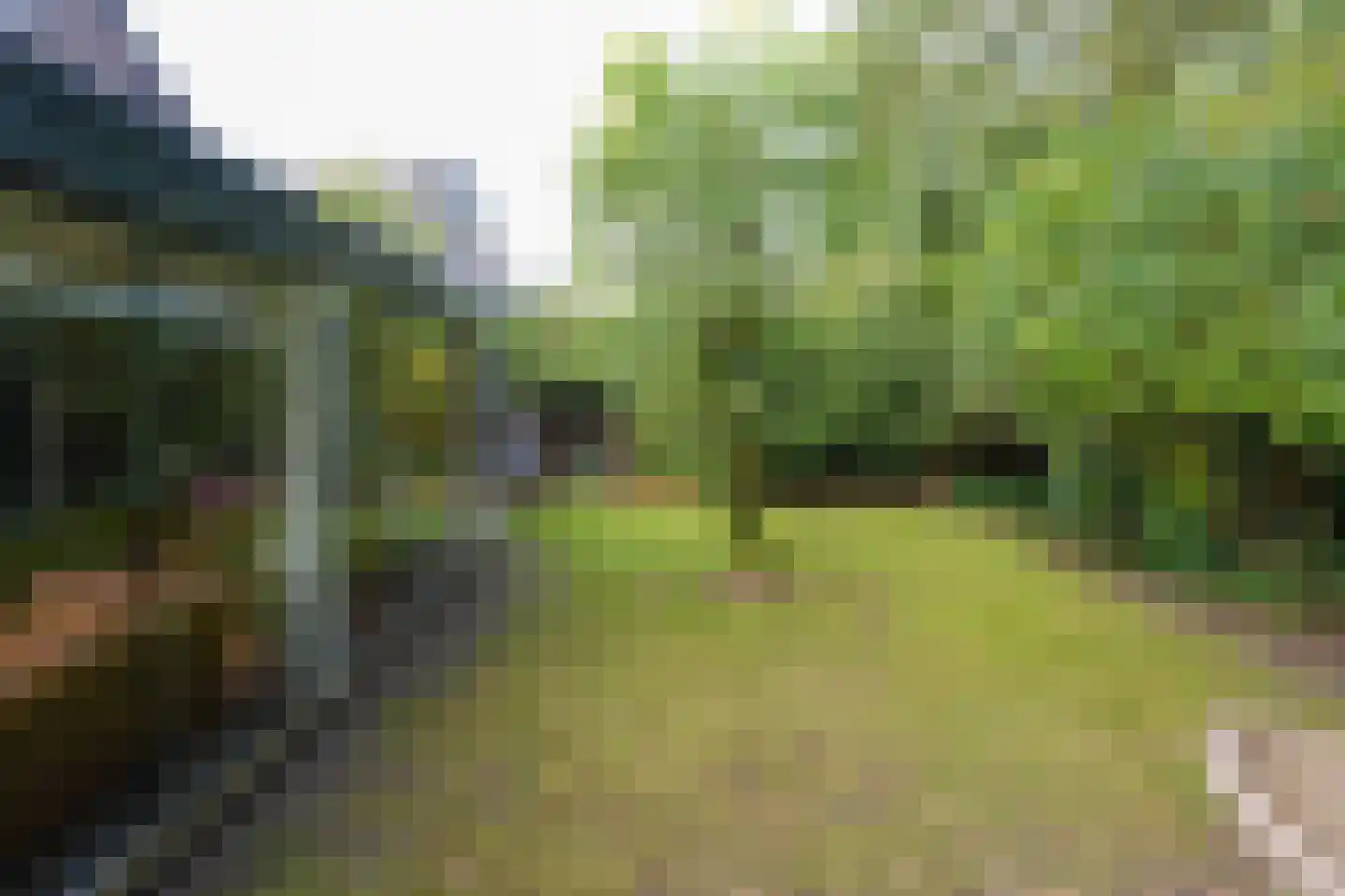 Sparrenhof 23 Malden thumbnail 50