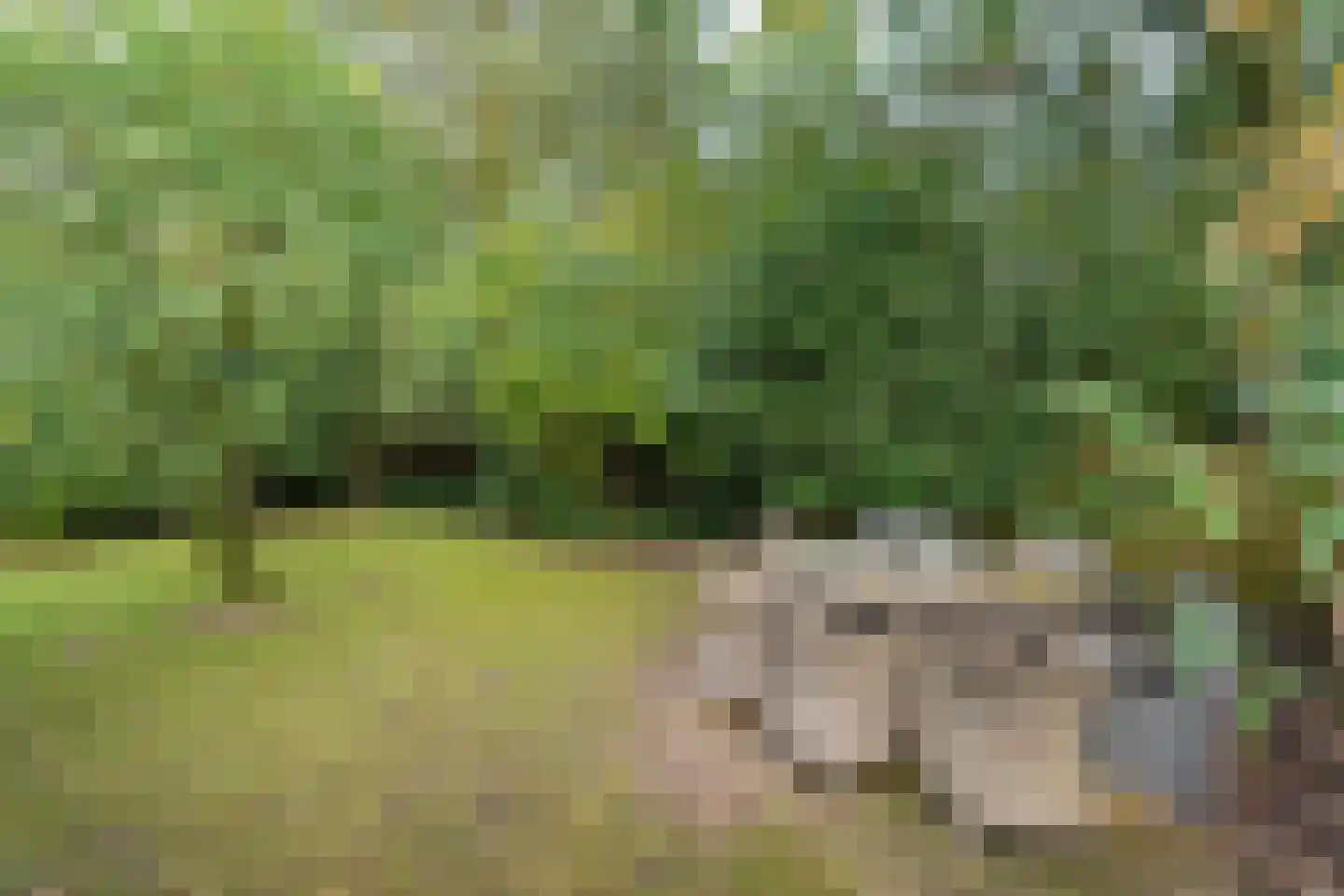 Sparrenhof 23 Malden thumbnail 52