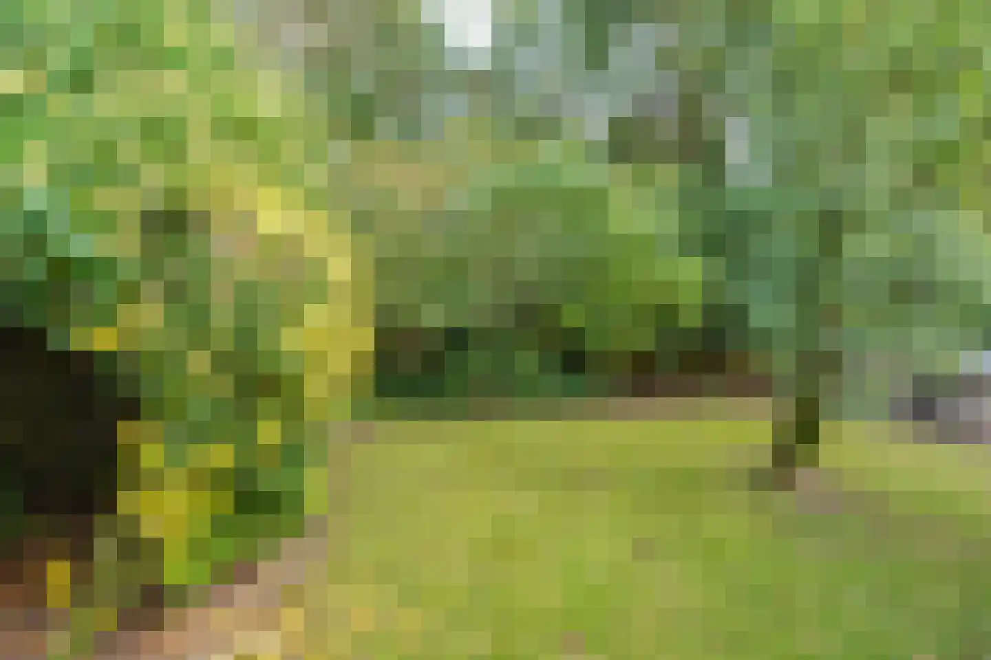 Sparrenhof 23 Malden thumbnail 53