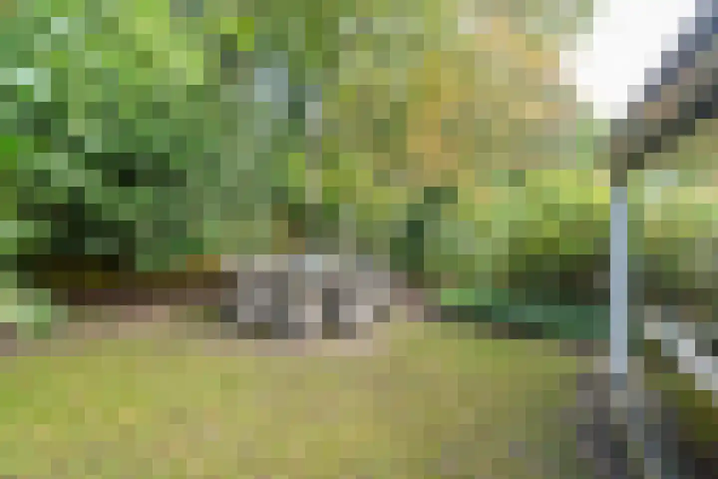 Sparrenhof 23 Malden thumbnail 6