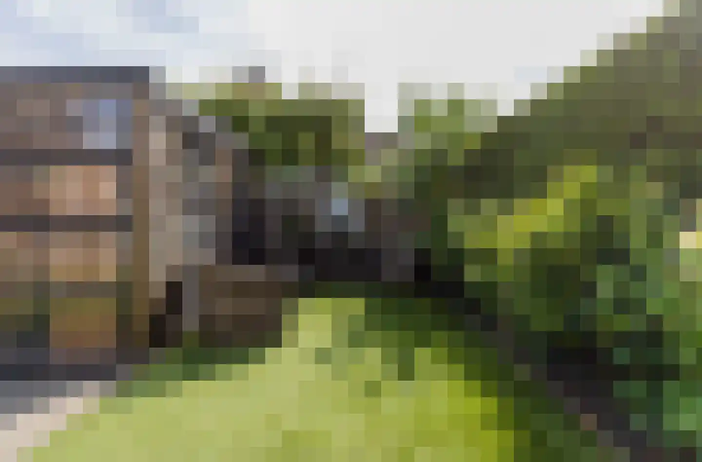 Sparrenhout 14 Barendrecht thumbnail 37