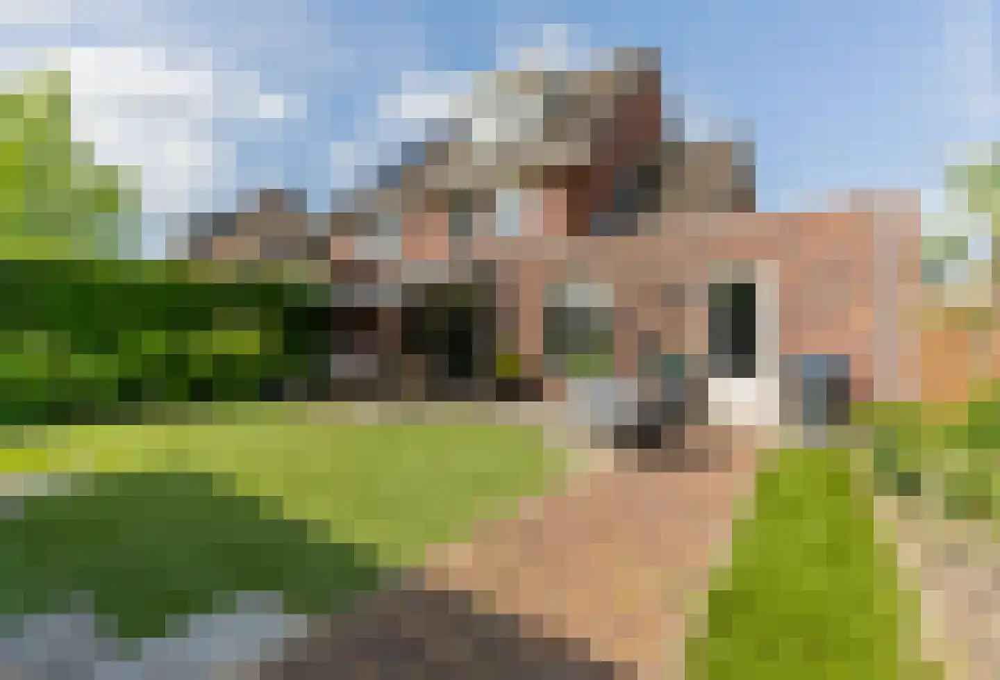 Sparrenhout 14 Barendrecht thumbnail 40