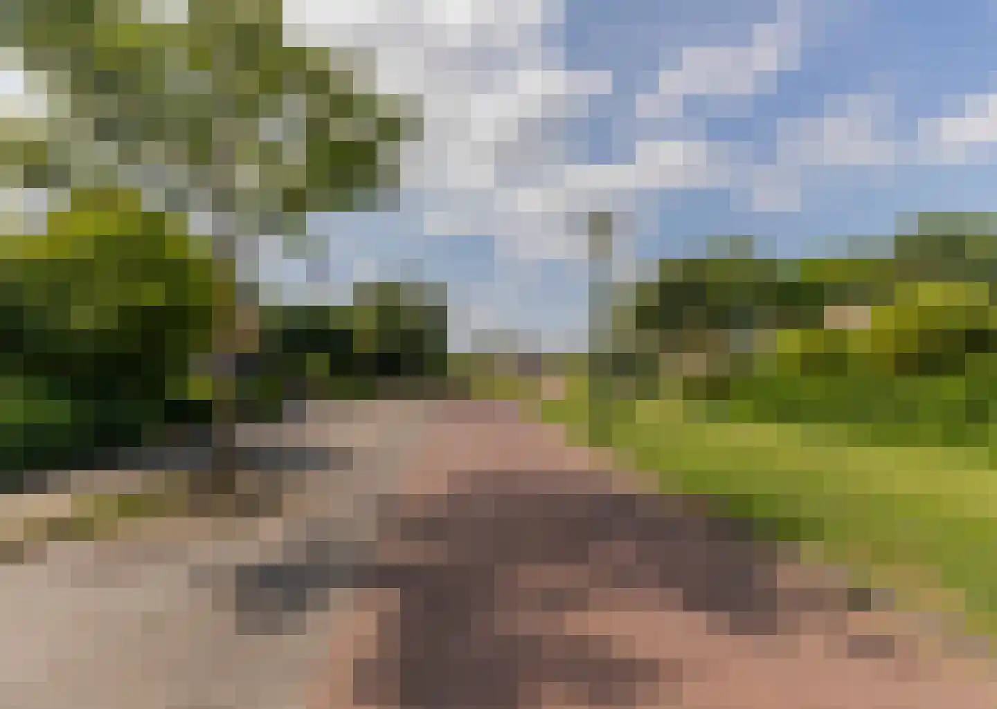 Sparrenhout 14 Barendrecht thumbnail 45