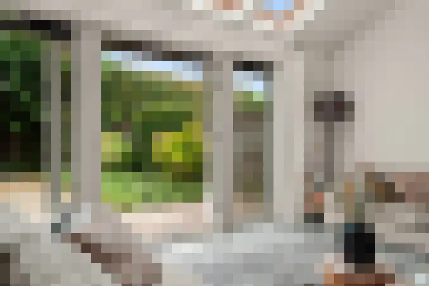 Sparrenhout 9 Houten thumbnail 16