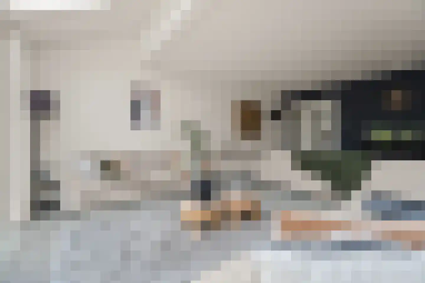 Sparrenhout 9 Houten thumbnail 18