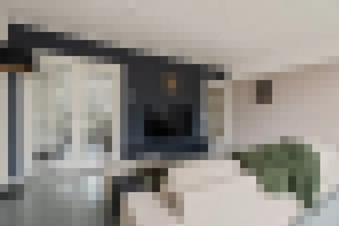 Sparrenhout 9 Houten thumbnail 19