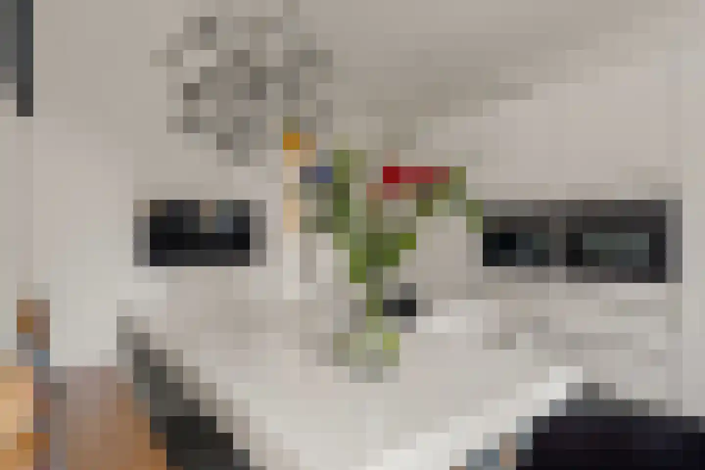 Sparrenhout 9 Houten thumbnail 24
