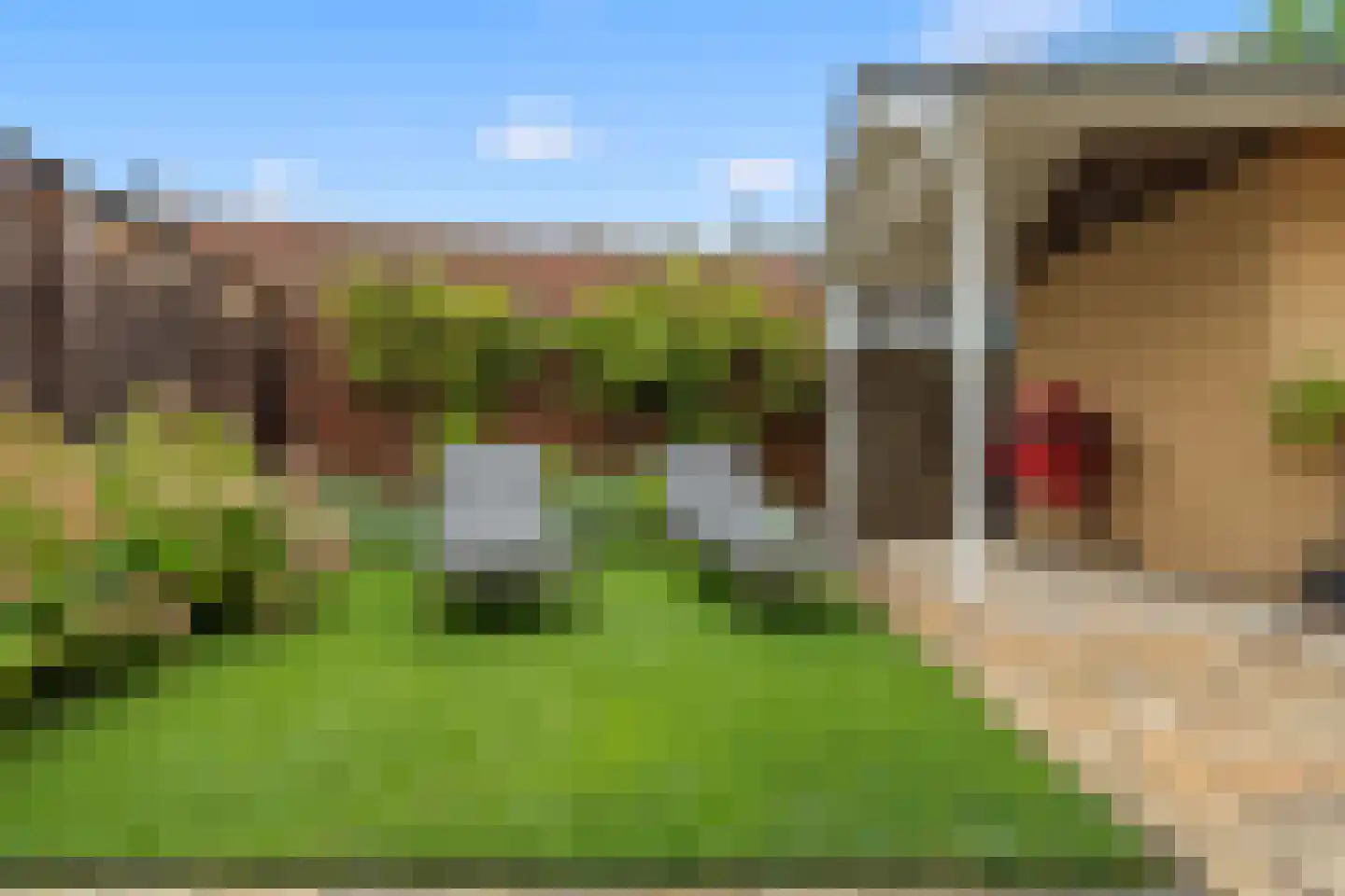 Sparrenhout 9 Houten thumbnail 28