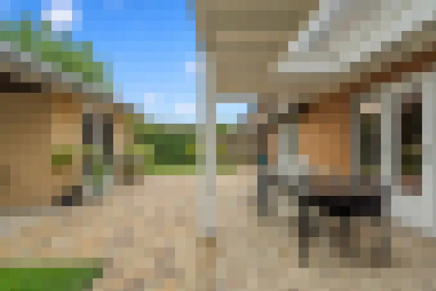 Sparrenhout 9 Houten thumbnail 29