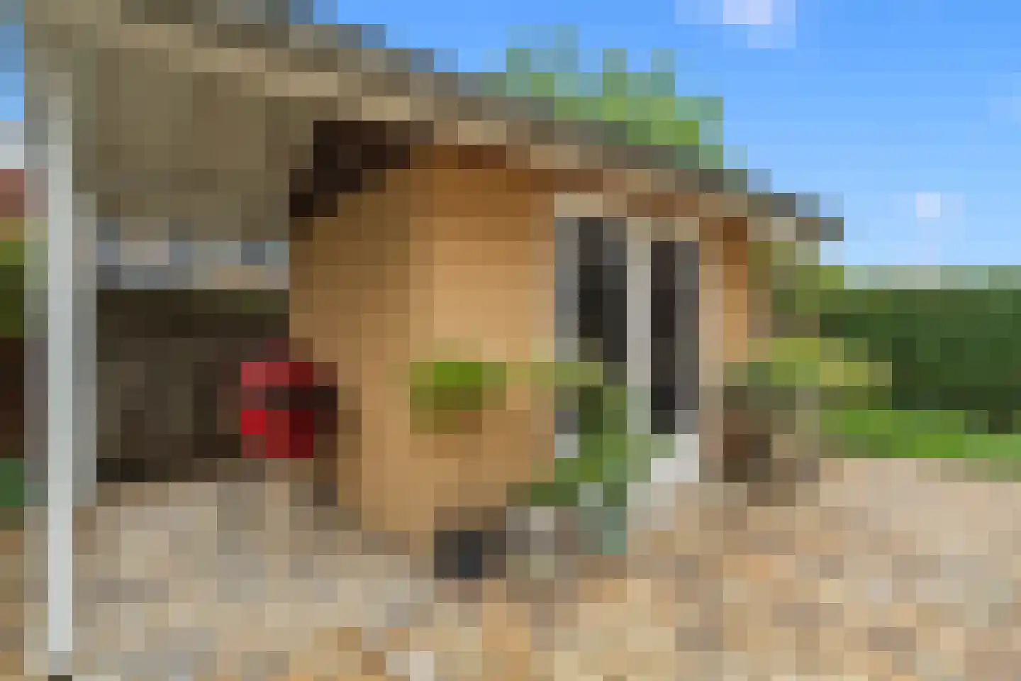 Sparrenhout 9 Houten thumbnail 32