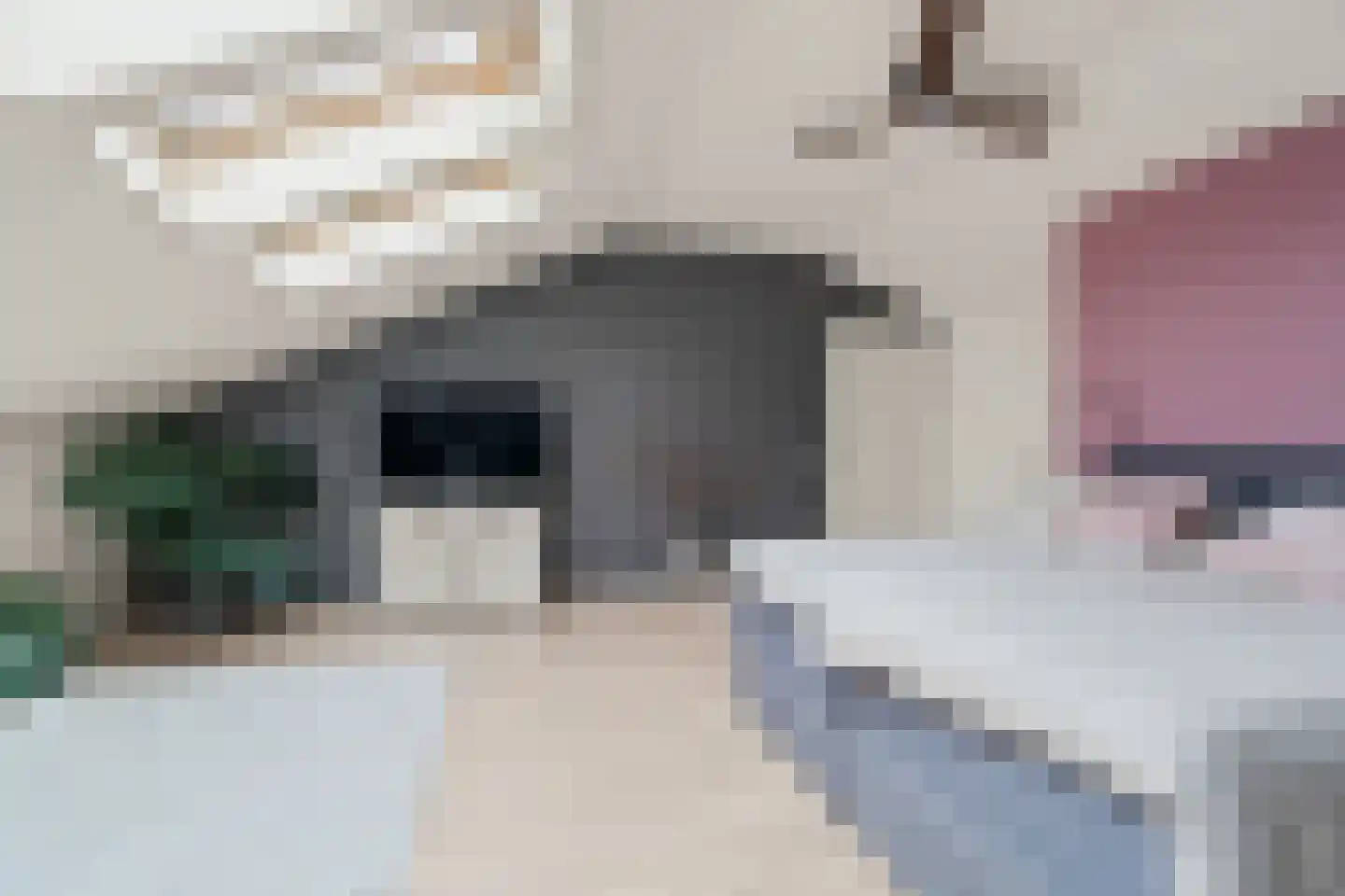Sparrenhout 9 Houten thumbnail 39