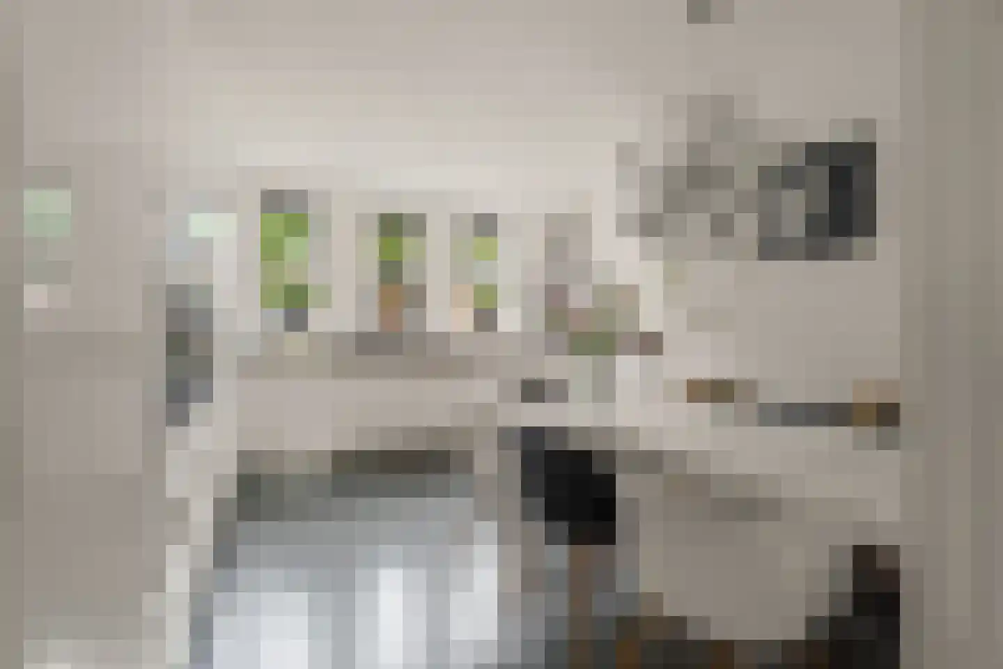 Sparrenhout 9 Houten thumbnail 4
