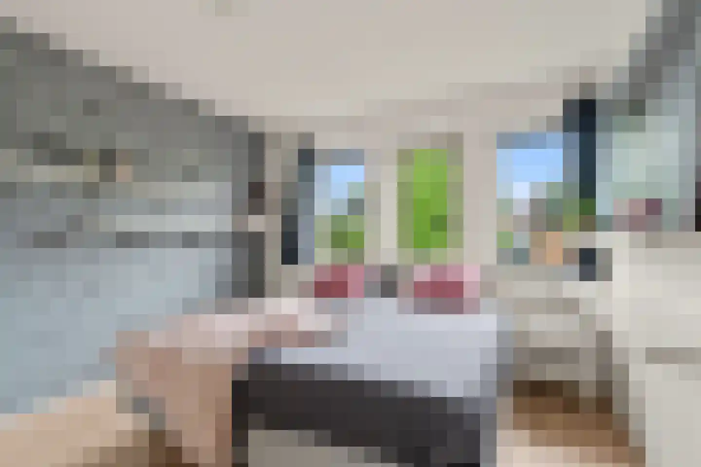 Sparrenhout 9 Houten thumbnail 41