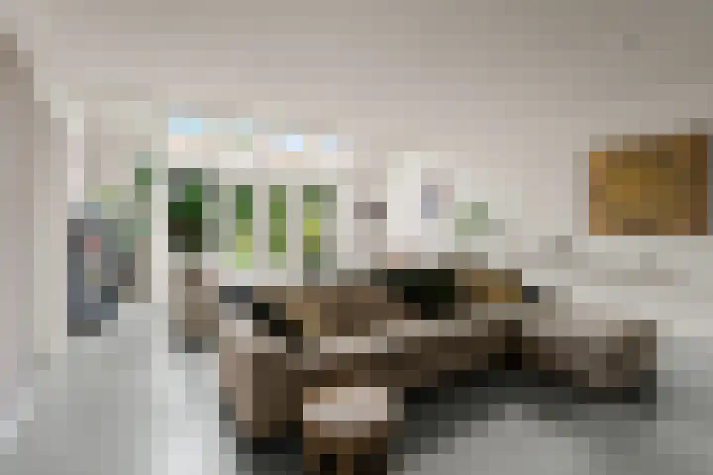 Sparrenhout 9 Houten thumbnail 6