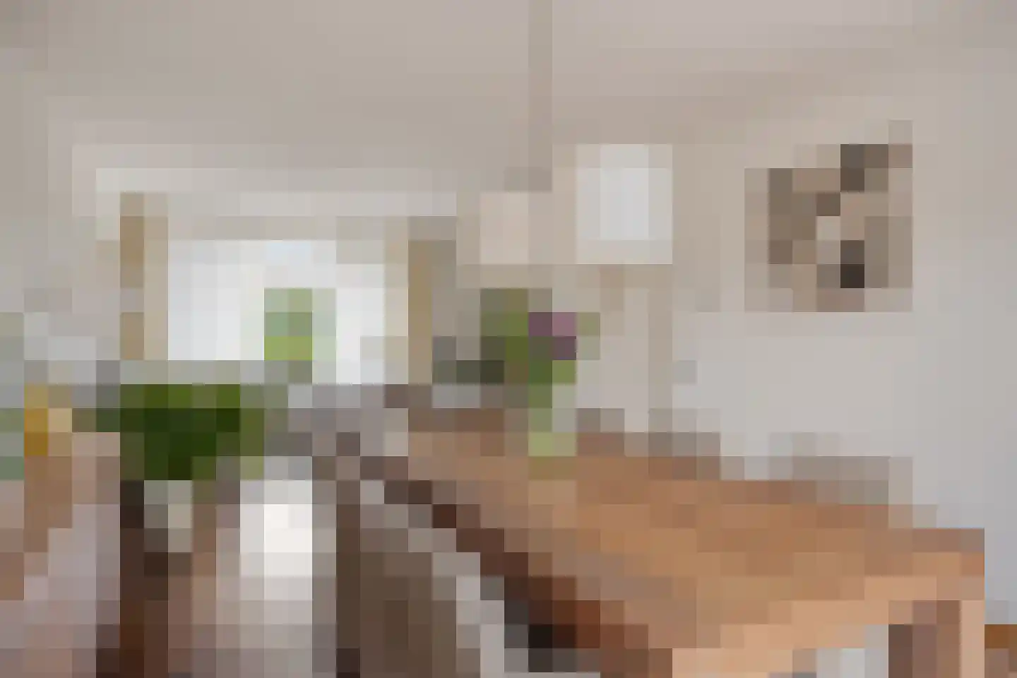 Sparrenhoven 20 Maastricht thumbnail 10