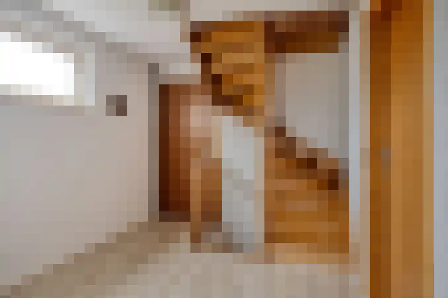 Sparrenhoven 20 Maastricht thumbnail 17