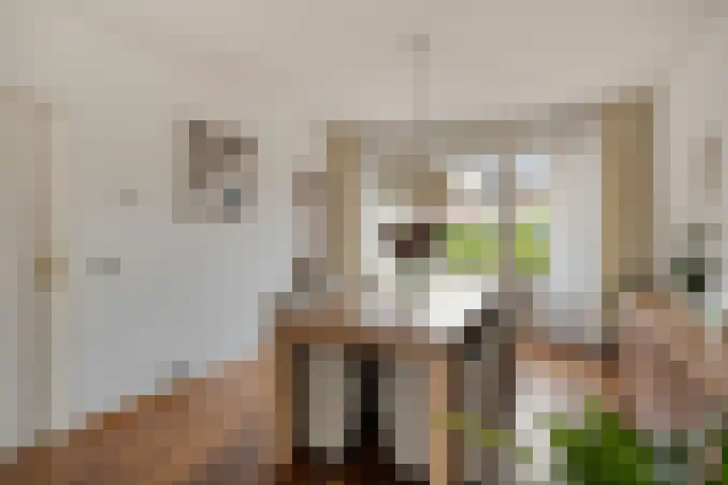 Sparrenhoven 20 Maastricht thumbnail 9