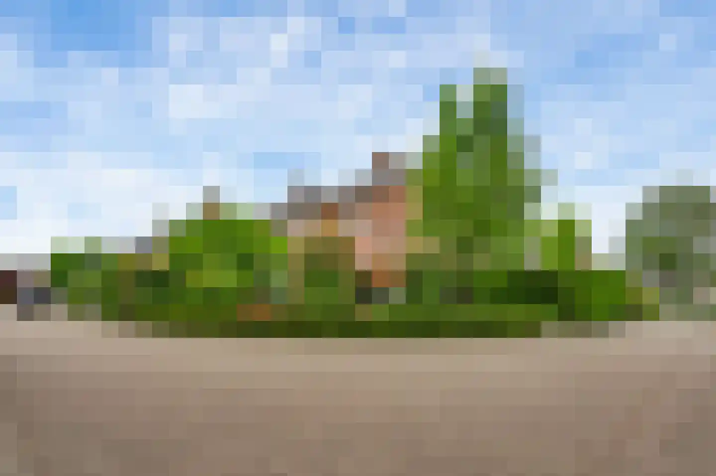 Sparrenhoven 6 Maastricht thumbnail 20