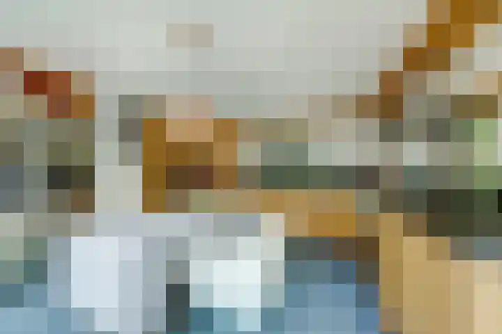 Sparrenlaan 10 Putte thumbnail 10