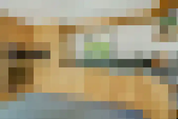 Sparrenlaan 10 Putte thumbnail 11