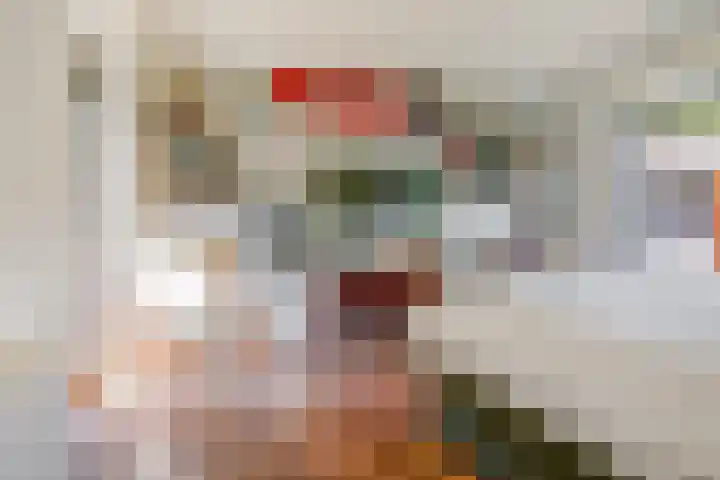 Sparrenlaan 10 Putte thumbnail 12