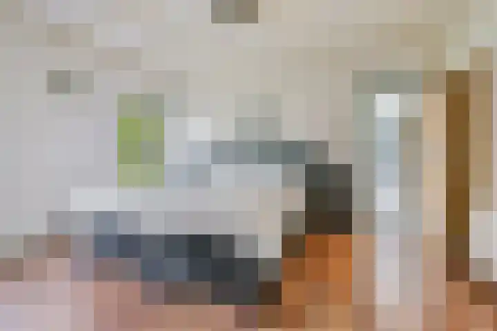 Sparrenlaan 10 Putte thumbnail 13