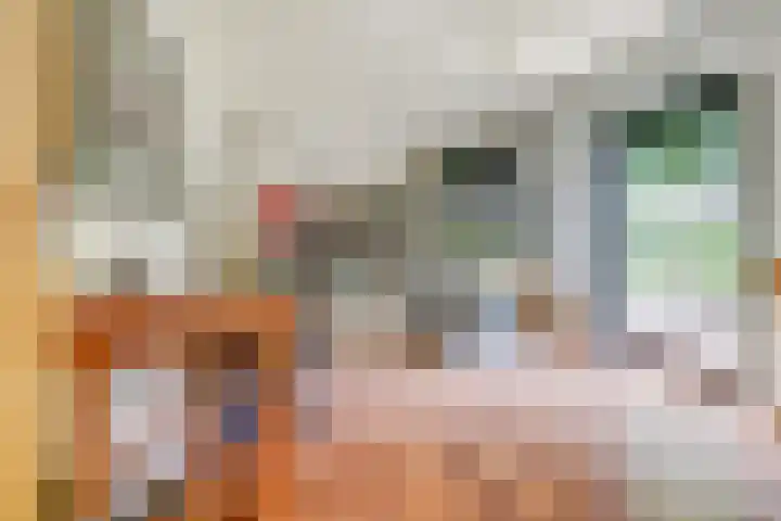 Sparrenlaan 10 Putte thumbnail 19