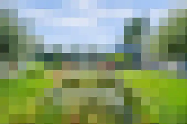 Sparrenlaan 10 Putte thumbnail 22