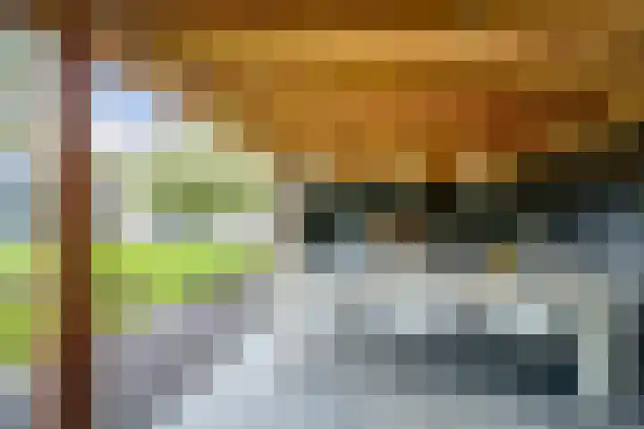 Sparrenlaan 10 Putte thumbnail 25