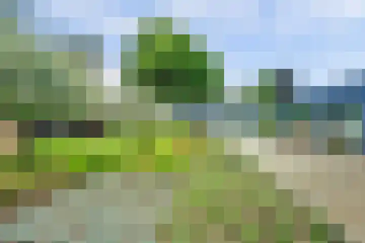Sparrenlaan 10 Putte thumbnail 27