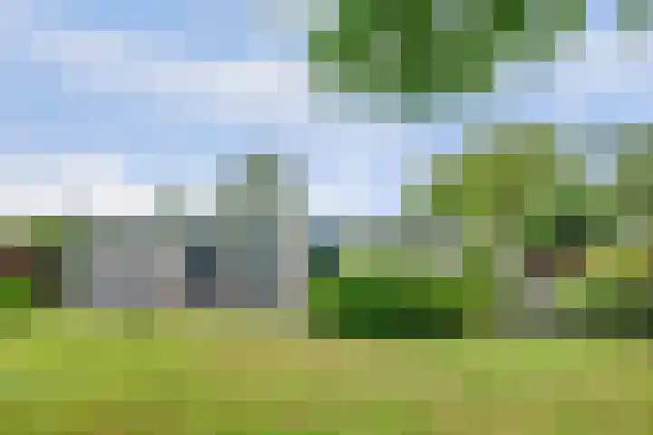Sparrenlaan 10 Putte thumbnail 28