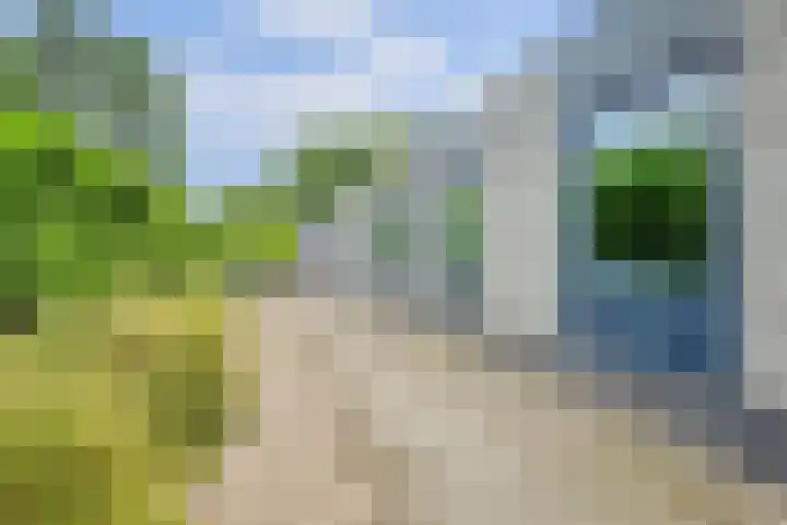 Sparrenlaan 10 Putte thumbnail 29