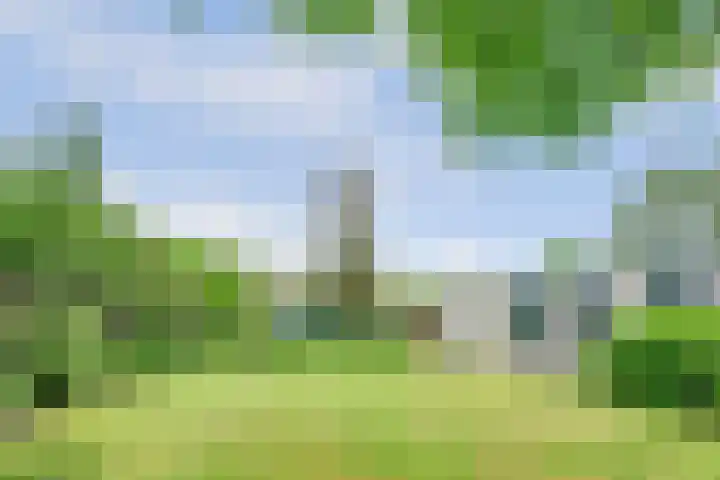 Sparrenlaan 10 Putte thumbnail 30