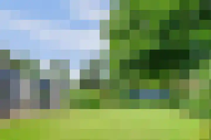 Sparrenlaan 10 Putte thumbnail 31