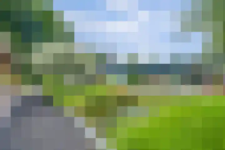 Sparrenlaan 10 Putte thumbnail 32