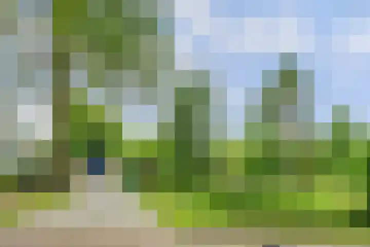 Sparrenlaan 10 Putte thumbnail 33