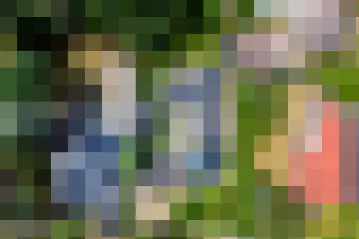 Sparrenlaan 10 Putte thumbnail 35