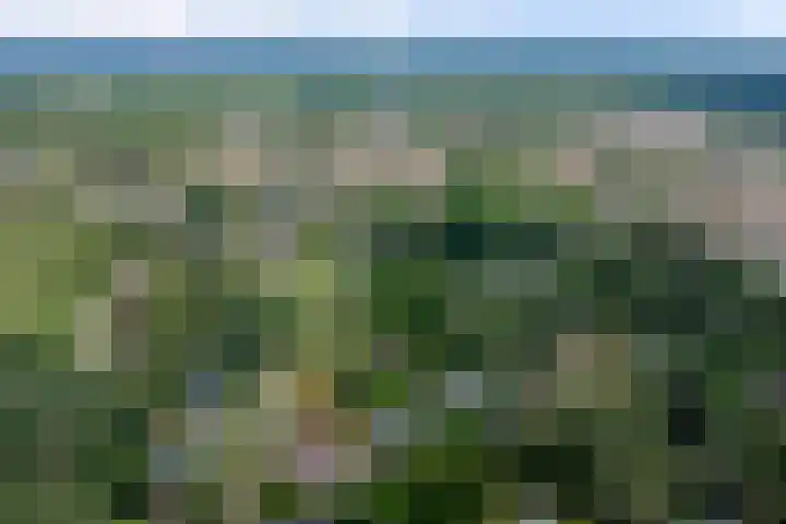 Sparrenlaan 10 Putte thumbnail 36