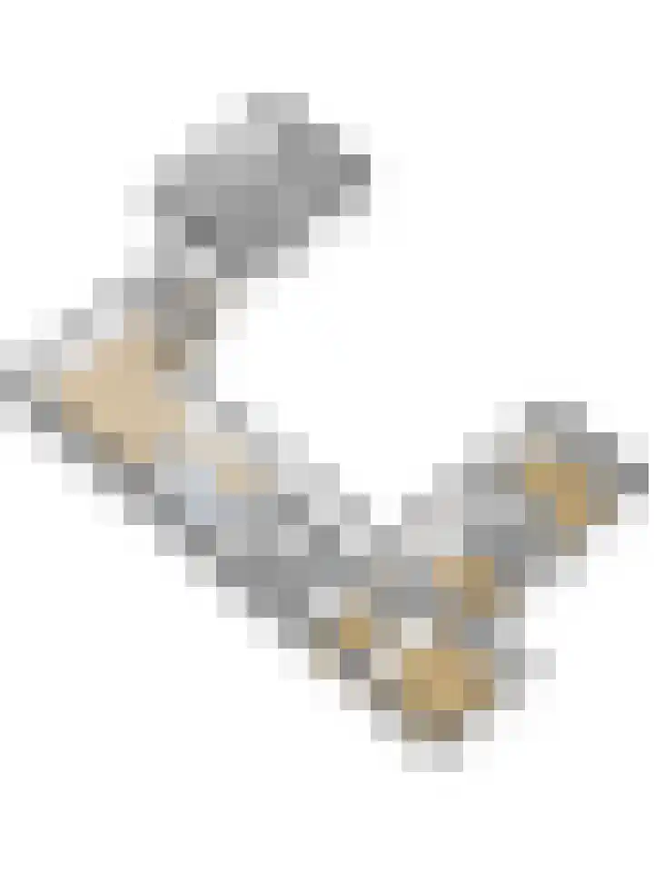 Sparrenlaan 10 Putte thumbnail 38