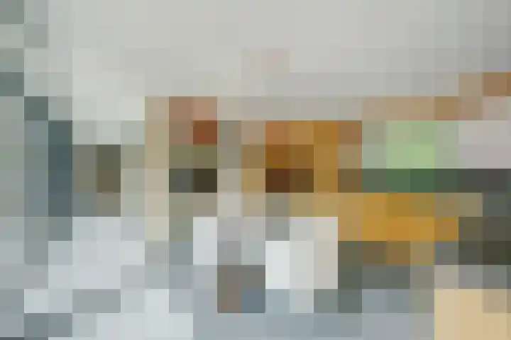 Sparrenlaan 10 Putte thumbnail 4