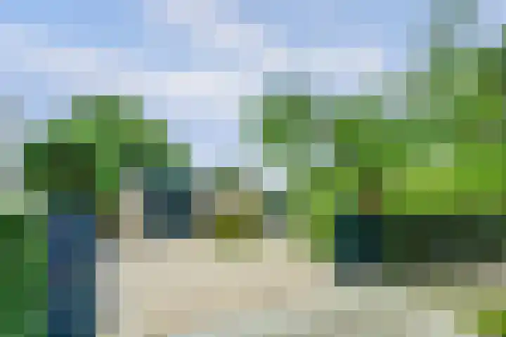 Sparrenlaan 10 Putte thumbnail 43